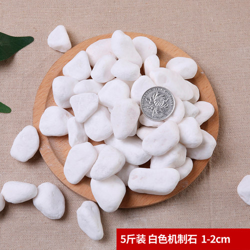 鹅卵石天然雨花石小白石子多肉铺面石盆栽花盆鱼缸庭院白色石头 - 图3