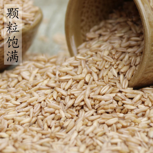 贵州毕节农家燕麦米500g五谷杂粮燕麦仁麦全胚芽特产粗粮 - 图1