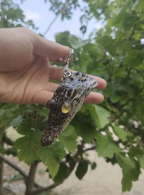 个性钥匙链鳄鱼头汽车钥匙链配饰生日礼物礼品鳄鱼标本挂件