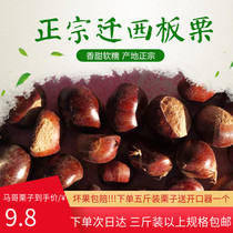 Zhengzong Chestnut Hebei Tangshan Fresh Raw Plate Chestnut Oil Chestnut Oil Chestnut Wild Chestnut Seeds Whole Box Big Sweet Chestnut Chestnut Oil Chestnut Oil Chestnut Oil Chestnut Oil Chestnut Oil Chestnut Oil Chestnut Oil Chestnut Oil Chestnut Oil Chestnut Oil Chestnut Oil Chestnut Oil Chestnut Oil Chestnut Oil Chestnut Oil Chestnut Wild Chestnut