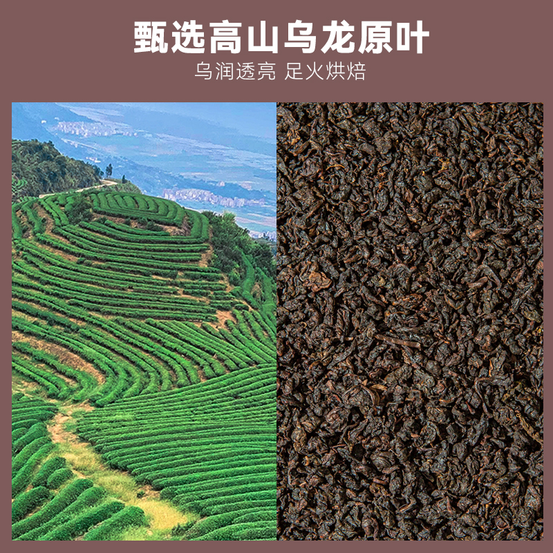 碳焙黑乌龙茶茶包官方正品浓香型高山油切大肚茶无糖冷泡袋泡茶叶 - 图0