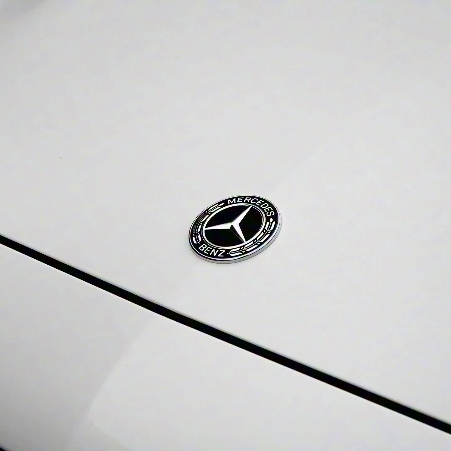 适用于奔驰新款标志E300L E63 C260L C180L C43改装平标机盖标志 - 图2