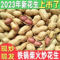 2023 New stock Fried Peanut Original Flavor With Shell Now Fried Now Iron Pan Firewood Fried Cooked Peanuts With Shell Raw Peanuts