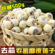 Huong Hu No Core Lotus Seed Farmhouse Dry Goods Grinding Leather to Core White Lotus Xianglian Mie 500g paired with silver ear lilies