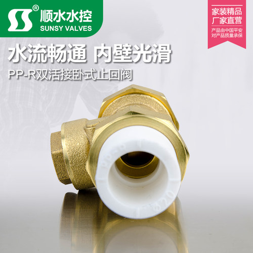双热熔活接单向卧式逆止PPR黄铜止回阀自来水管4分6分1寸20 25 32 - 图1