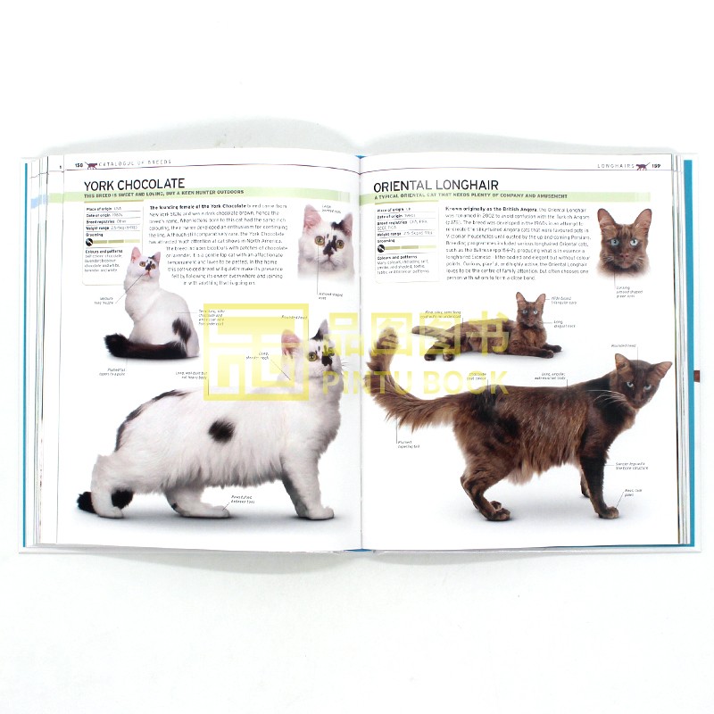 现货 The Complete Cat Breed Book 猫咪完整品种介绍 DK百科 猫猫基本健康实用指南 家猫特点与选猫建议收录 进口英文原版 - 图2