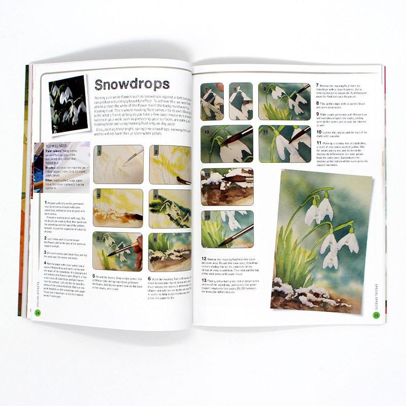 现货 Ready to Paint in 30 Minutes: Flowers in Watercolour 水彩画花卉初学者指南 简单基础花朵不同形状颜色技术学习 英文原版