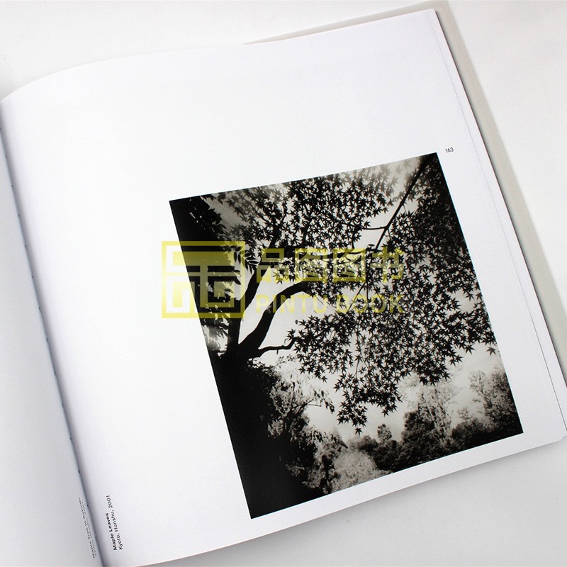 现货包邮 Michael Kenna: Forms of Japan 迈克尔·肯纳黑白摄影作品集 日本形态 海陆树木心灵天空 日本美丽壮观景象 英文原版