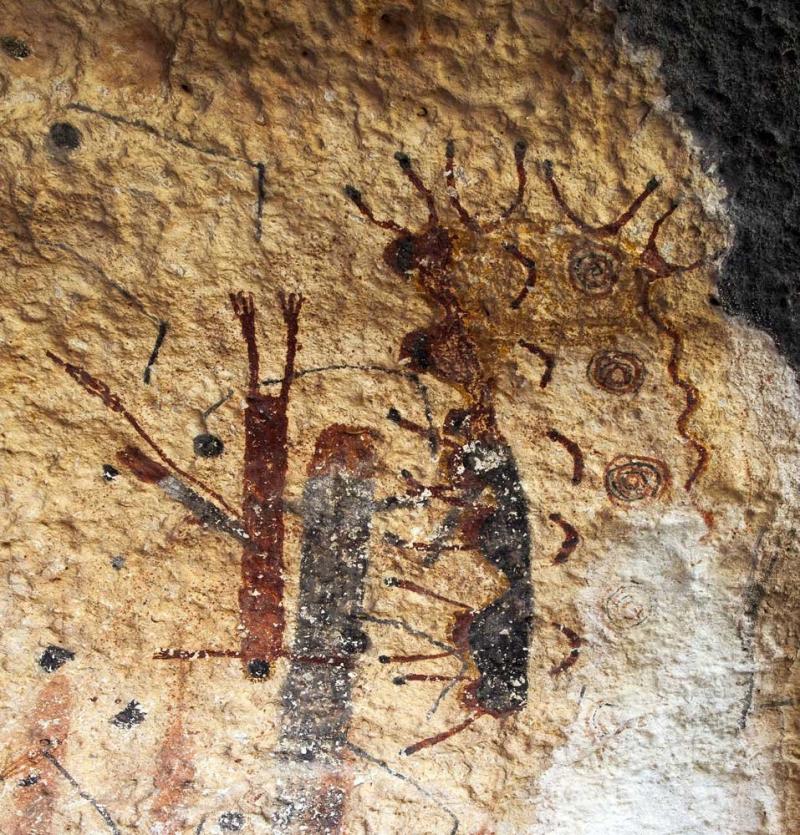 The White Shaman Mural: 岩石艺术白巫师的壁画An Enduring Creation Narrative in the Rock Art of the Lower Pecos - 图0