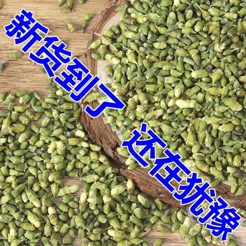 新货 槐米500g克 槐米 包邮 新槐米干货 生槐米国槐 炒槐米茶无硫 - 图0