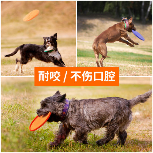 狗飞盘边牧玩具飞盘户外练习宠物狗玩具耐咬橡胶飞碟可浮水上漂 - 图0