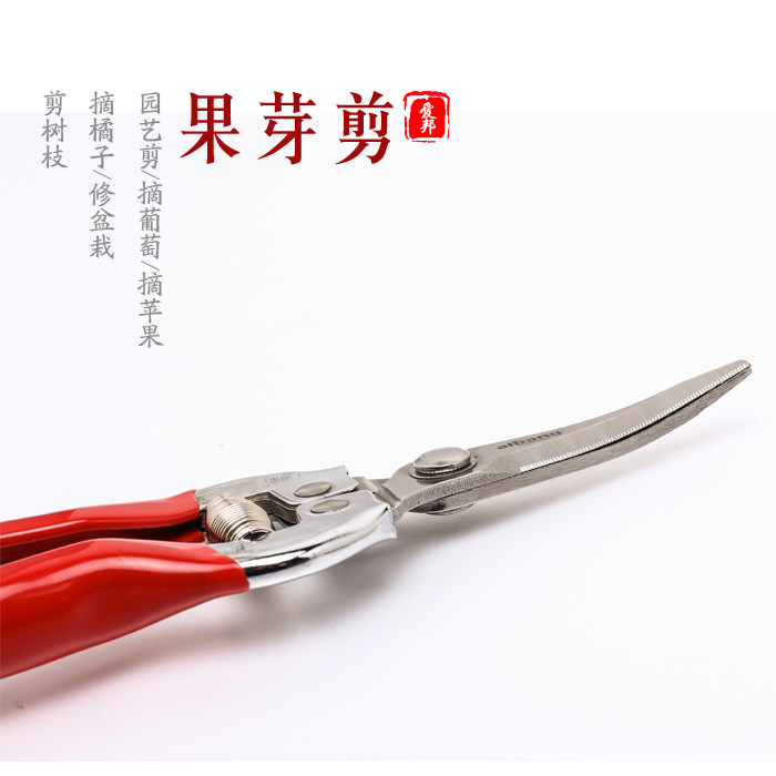 包邮 葡萄剪修枝剪园艺采果芽剪柑橘子修花稀果摘果 水果蔬果剪刀,淘宝优惠券,粉丝福利购,淘宝优惠卷