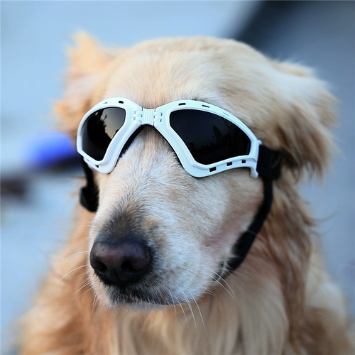 Аксессуар, складные солнцезащитные очки, ветрозащитные защитные очки, защита от солнца, подходит для подростков