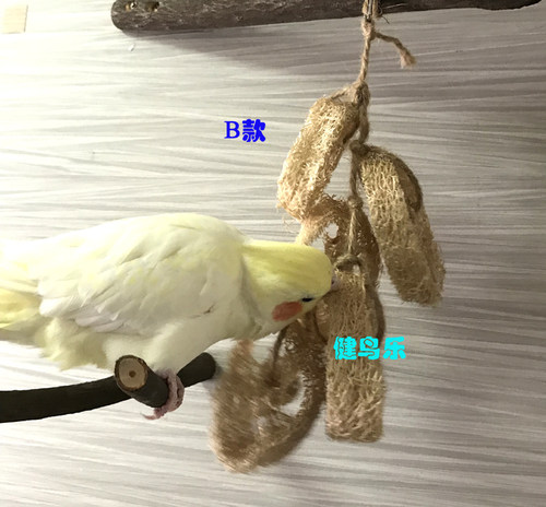 中小型鹦鹉啃咬玩具丝瓜络秋葵玉米皮系列宠物鸟牡丹玄凤虎皮文鸟 - 图1