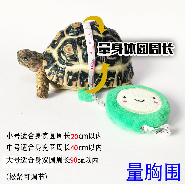 新品 宠物乌龟外出牵引绳遛龟 可调节大小多色乌龟胸背心用品,淘宝优惠券,粉丝福利购,淘宝优惠卷