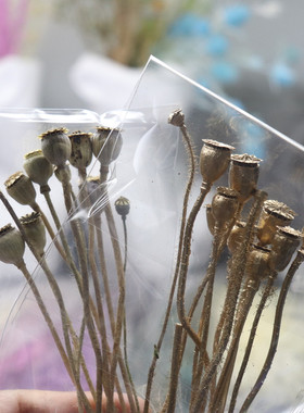 二月手作虞美人干花果实 手工DIY香薰蜡烛杯石膏扩香装饰创意花材