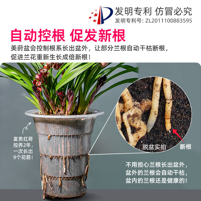 Special double-layer root control pot for orchids