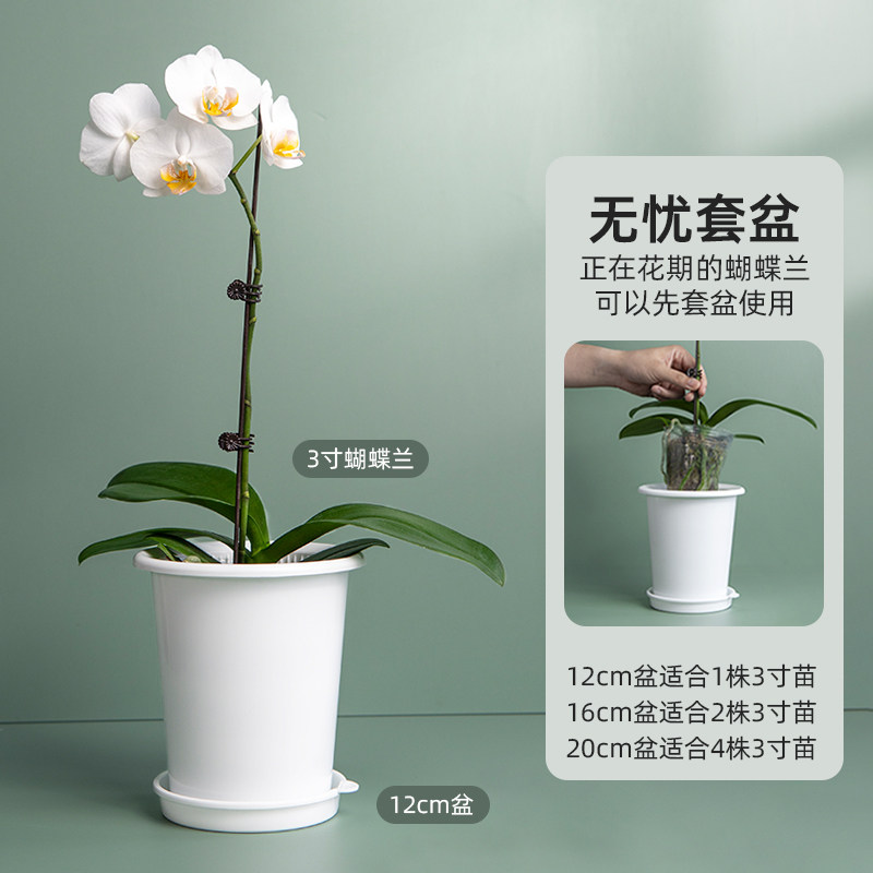 美莳蝴蝶兰控根花盆透气加仑塑料君子兰石斛文心兰专用盆双层套盆,淘宝优惠券,粉丝福利购,淘宝优惠卷