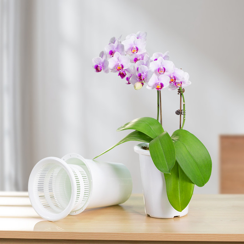 美莳养蝴蝶兰专用花盆塑料透气控根网杯君子兰文心兰石斛双层套盆,淘宝优惠券,粉丝福利购,淘宝优惠卷