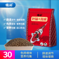 Japanese zokawa brocade carp feed spirulina gold fish grain not muddy water to raise into large small and medium grain fish grain