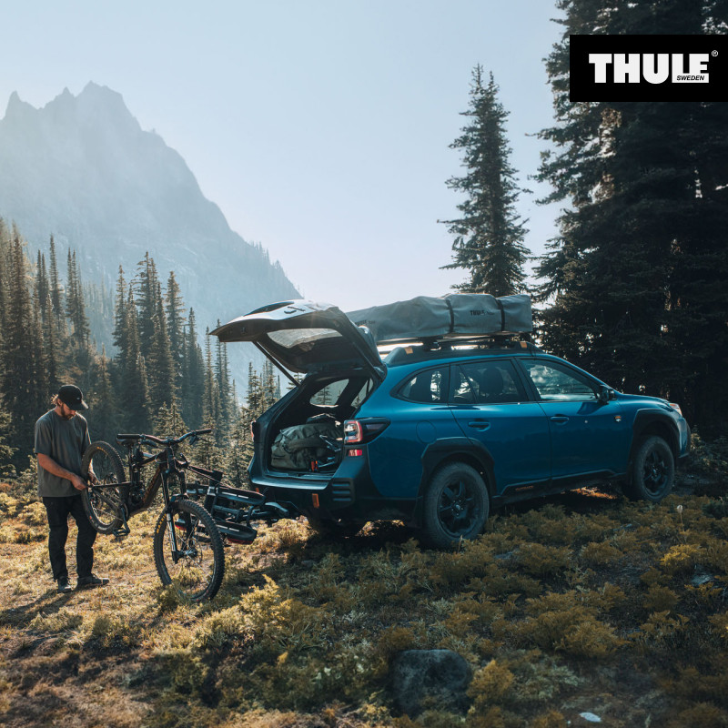 THULE拓乐 Thule Epos 2 后拖式自行车架可运载2-3辆自行车 - 图0