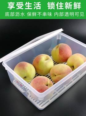 Drainage and preservation box, plastic refrigerator, freeze