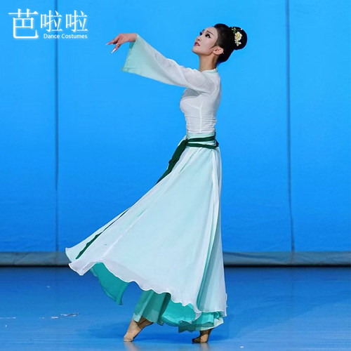 古典舞演出剧目服《一盏梦鹤唳》女飘逸大裙摆艺考定制表演服装 - 图0