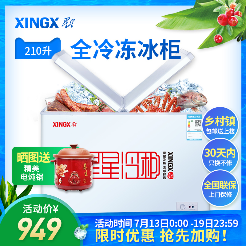 XINGX/星星 BD/BC-210HEC冰櫃家用商用小型 臥式單溫全冷凍冷藏櫃