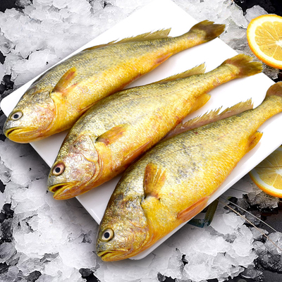 聚焦四道口海鲜美食之都