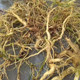 Fujian fresh wild yellow flowers, water lotus, hanging yellow roots, Guanyin skewers, Chinese medicinal materials soaked in wine and soup, postpartum confinement tea