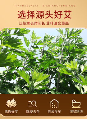 8cm大炮灸雷火灸艾条加大粗艾条