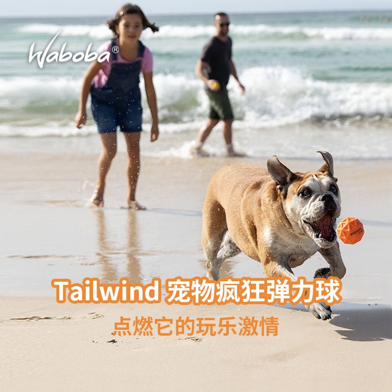 Waboba狗狗高弹球 Tailwind耐咬磨牙中大型犬宠物飞盘玩具套装 - 图0