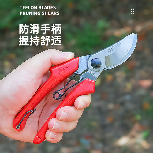 宁三牌修枝剪果树剪枝剪刀园林修剪树枝剪刀强力修花省力园艺剪子 - 图1