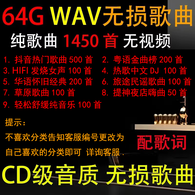 WAV无损音乐高音质2023流行发烧经典歌曲dj汽车车载优盘64G歌词 - 图1