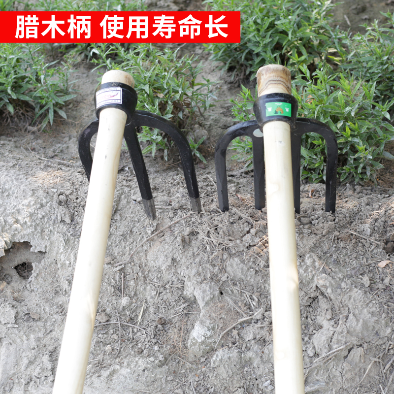 軍印淬火农用钢叉松土耙子挖土长柄锄头种花种菜园艺工具翻地钢镐 - 图2