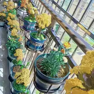 阳台铁艺护栏花架免安装栏杆悬挂式简约多肉绿萝吊篮花盆架,淘宝优惠券,粉丝福利购,淘宝优惠卷