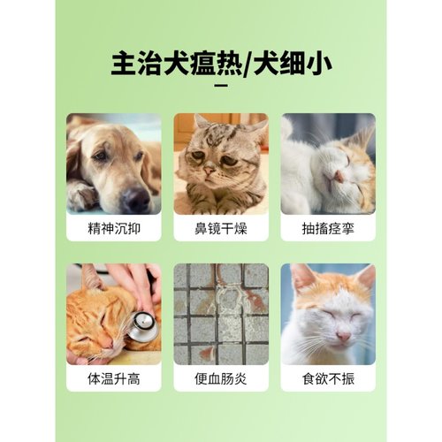 鱼腥草注射液猫瘟犬瘟灵治疗药细小单抗血清幼狗瘟热肺炎肠炎针剂 - 图1