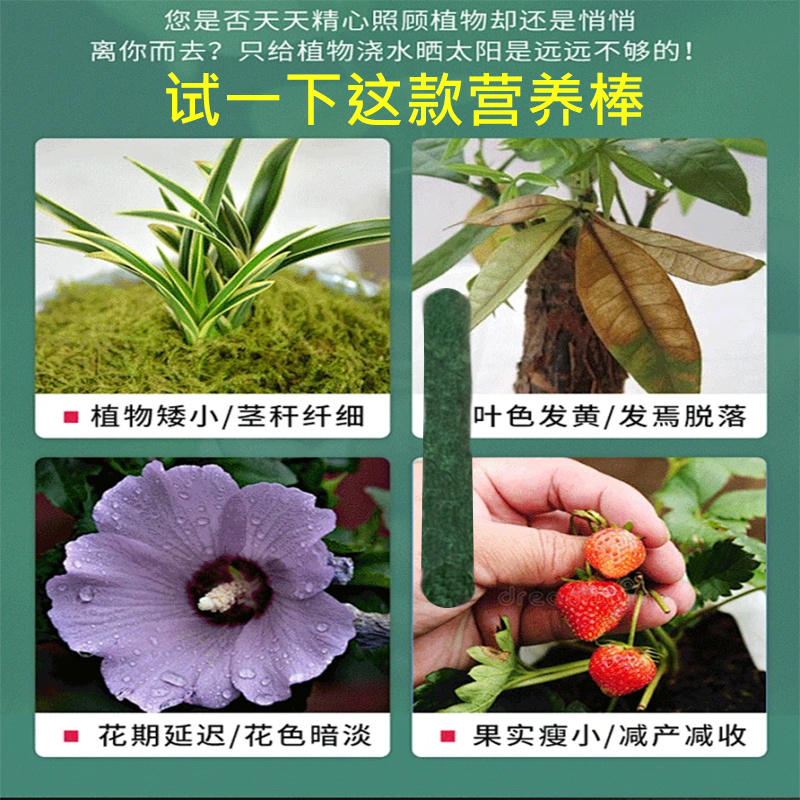 三色植物营养棒缓释棒盆栽花多肉专用肥料通用型缓释养花肥急救棒,淘宝优惠券,粉丝福利购,淘宝优惠卷