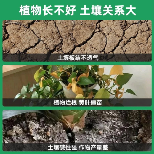 土壤活化剂改善土壤结构促进生根花卉植物水溶肥矿微生物菌剂通用 - 图2