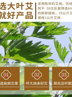 梅花艾灸艾绒饼圆形艾灸仪纯艾绒
