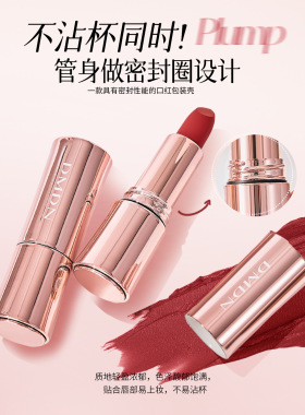 浓郁丝绒哑光姨妈色显白豆沙色女