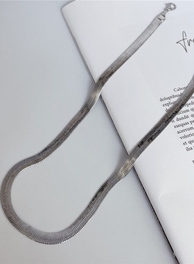 简约金属蛇骨项链女2024新款欧美气质小众设计质感不掉色锁骨链潮