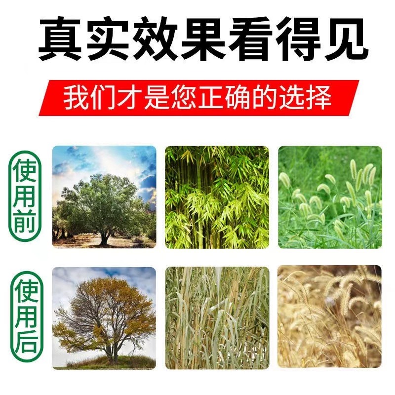 除草烂根剂杂竹杂草灌木根烂不返青荒地除草木除竹子灭根粉连根烂 - 图2