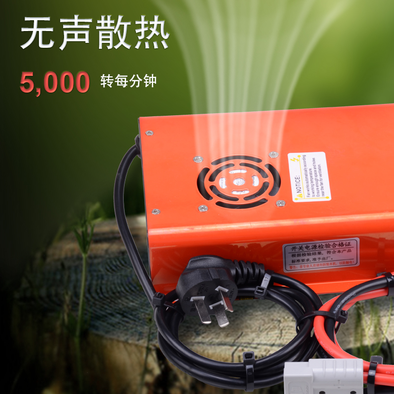 大功率锂电池快速充电器12v24v48v30A50A100A磷酸铁锂三元锂快充 - 图2