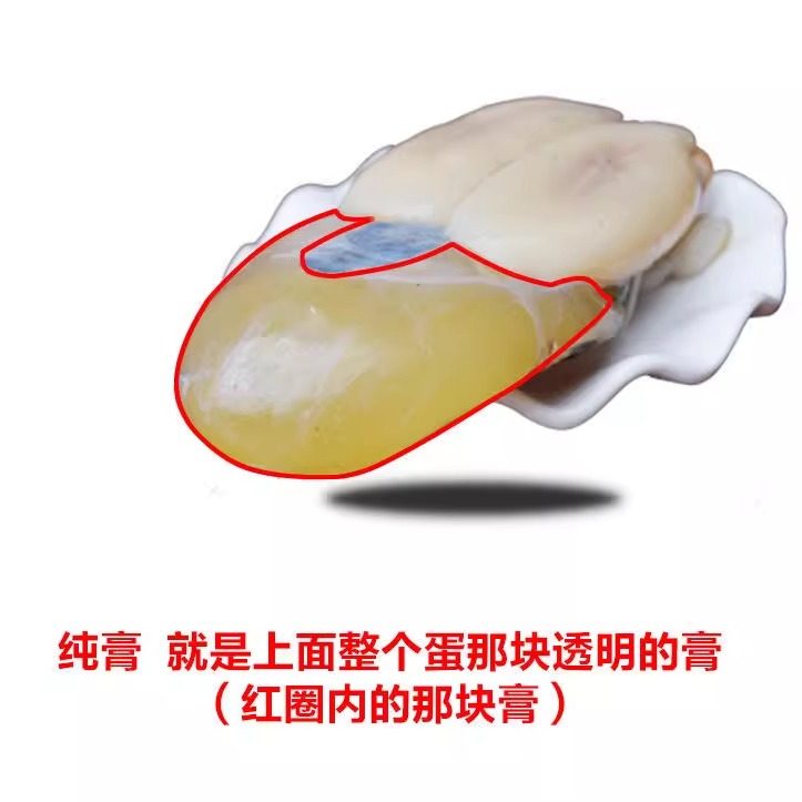 发顺丰/东海新鲜大墨鱼蛋4斤 宁波全淡无盐海鲜白蛋乌贼蛋目鱼蛋