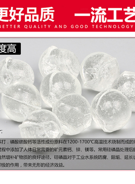 硅磷晶前置除垢净水器