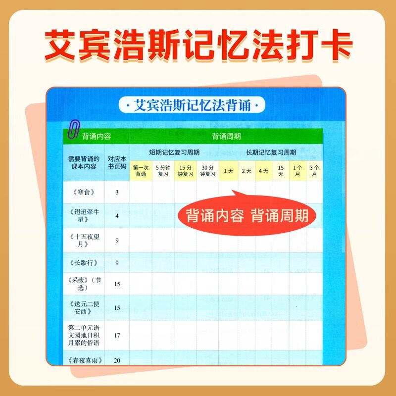 2025新版小学生晨读美文一年级二年级三四五六年级上册下册语文英语人教版晨诵晚读优美句子积累好词好句好段每日一读作文素材大全