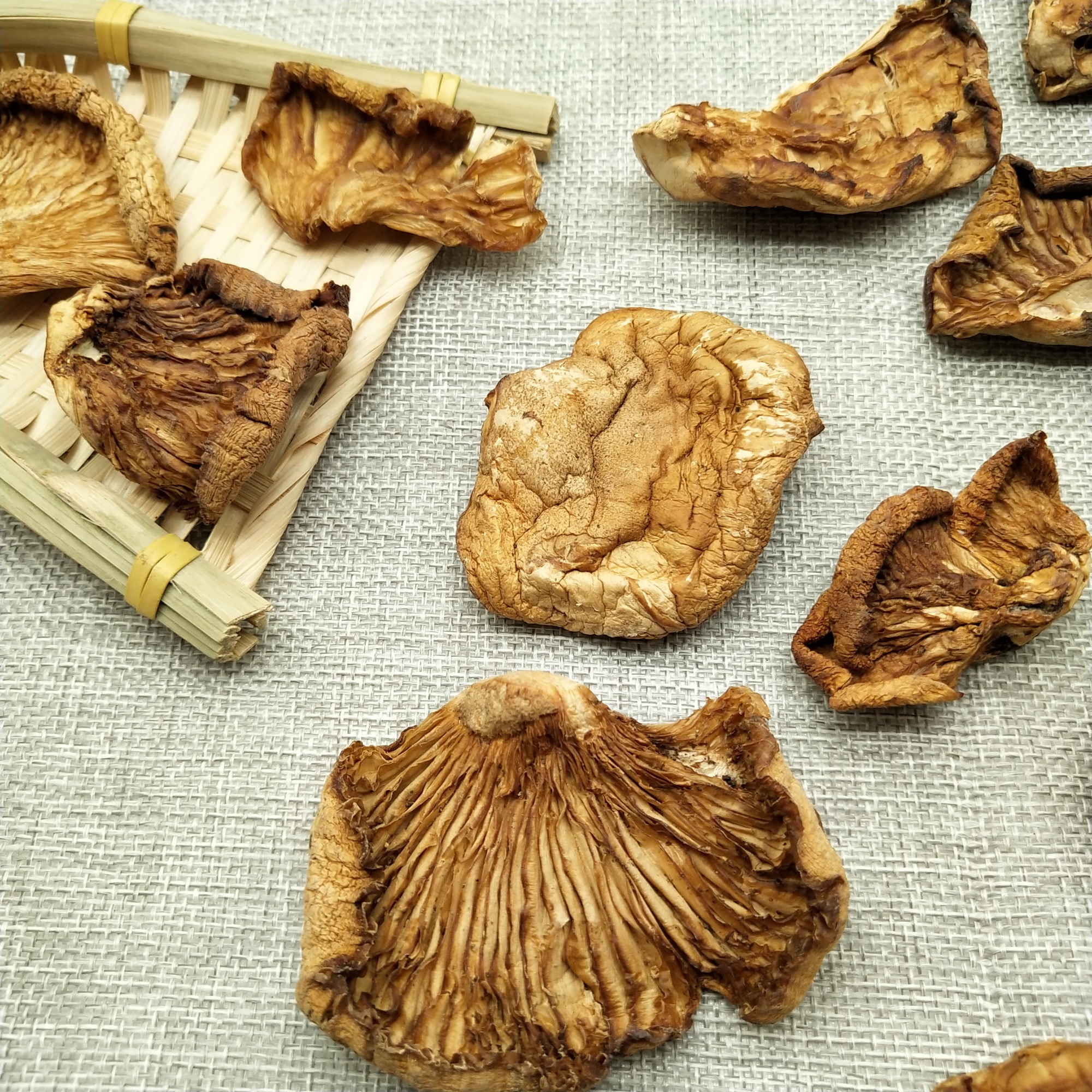 东北野生元蘑干货500g包邮冻蘑野生黄蘑小鸡炖蘑菇新货_虎窝淘