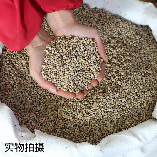 白胡椒500g正宗精选香料大全纯正海南颗粒一斤装免费打粉商用 - 图0