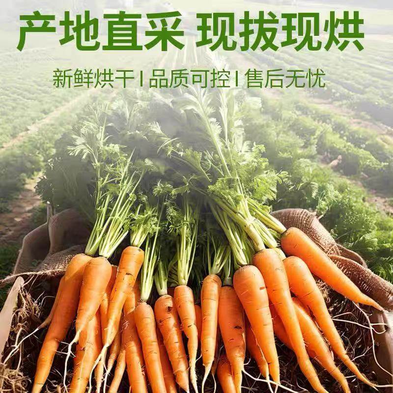 烘干胡萝卜缨兔子龙猫豚鼠保健草补充维C美毛亮毛助消化干草牧草,淘宝优惠券,粉丝福利购,淘宝优惠卷